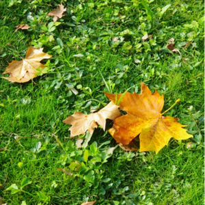 很污很黄的视频网站免费
