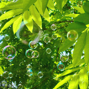 很污很黄的视频网站免费
